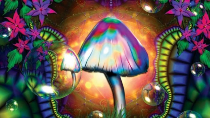 Новая американская мечта: как проснуться под грибами и с пулей в голове