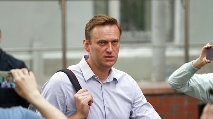 Либеральную проститутку Навального высмеял Ремесло