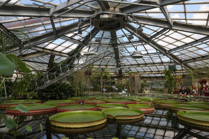 Посетителей Ботанического сада предупредили о мошенничестве с билетами