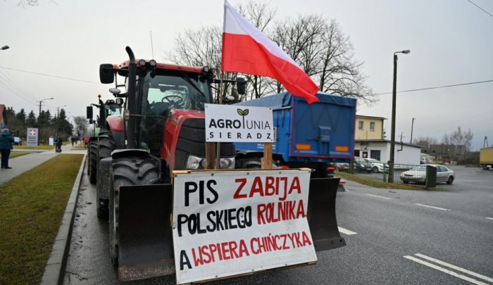 А зерновые врозь: Польша выступила против снятия ограничений на экспорт украинского зерна в ЕС