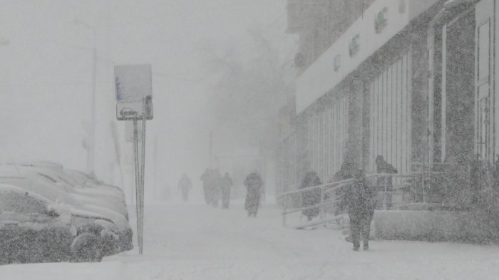 За снег двойная плата: почему петербуржцы должны идти по вечерам в дворники