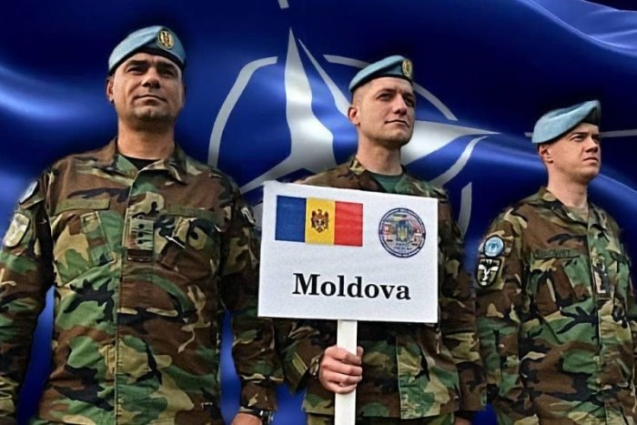НАТО под прикрытием ЕС: какую «морковку» изобрели для Молдавии
