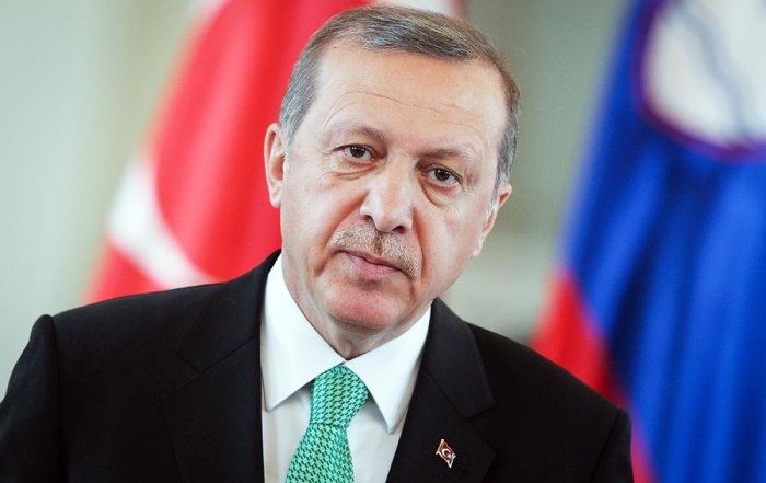 Эрдоган решил сорвать достигнутое в Ливии перемирие в преддверии Берлинской конференции
