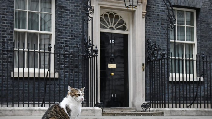 Влияние кота Ларри на британскую политику – нешуточные доказательства