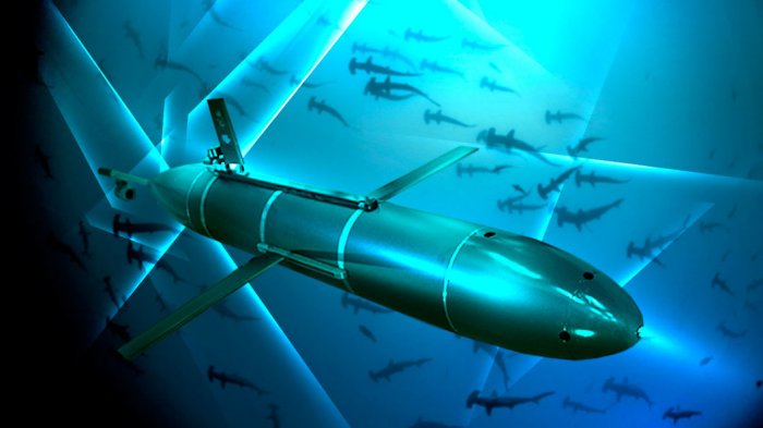 Журнал Forbes предупредил Запад, что Россия первой получит атомные подводные дроны на вооружение