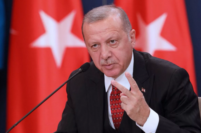 В Турции обвинили своего президента в распространении коронавируса в Ливии и Сирии