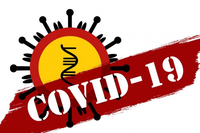 Заказчики фейков о коронавирусе ответят по всей строгости закона