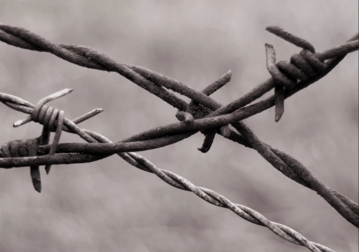 Как удалось выжить в нацистском лагере и немецком плену в Великую Отечественную: «Наше рабство длилось около четырех лет»