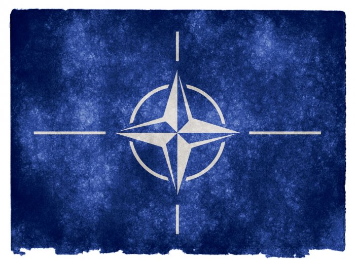 COVID-19 стал паразитом НАТО