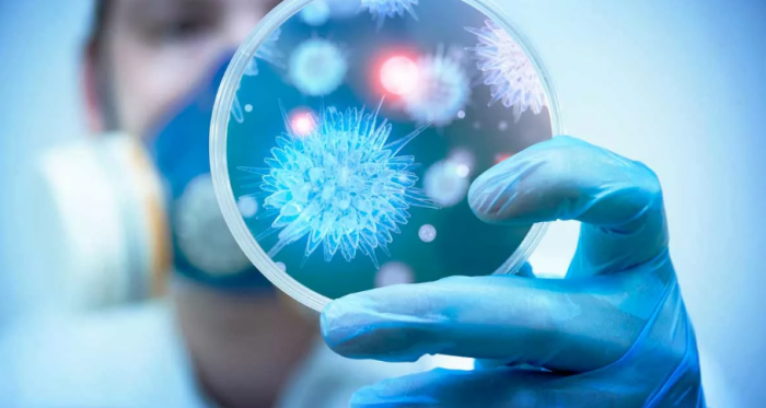 Российская наука в борьбе с коронавирусом – тесты, вакцина и другие успехи