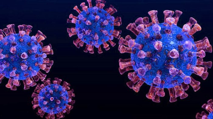 Не надо бояться, надо гордиться – Российские ученые вот-вот порешат коронавирус