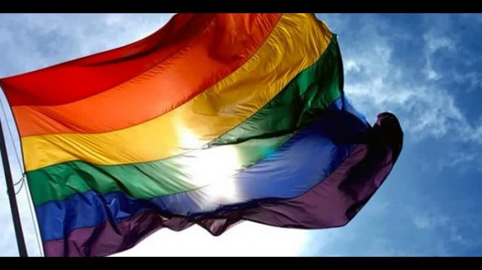 Лидер движение «Матери России» считает, что однополые браки «антиприродны»