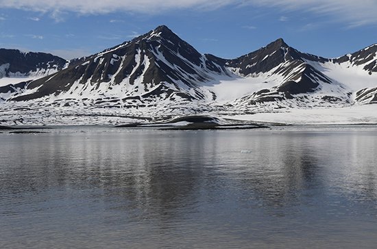 В России планируют запустить программу «Арктический гектар»