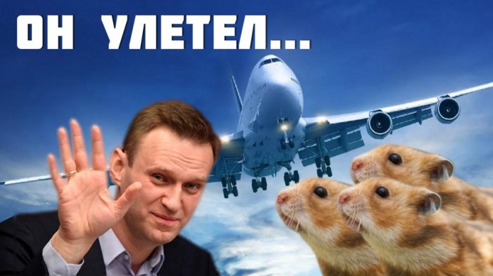 Очередной скандал в штабе Навального: блогер подставляет своих хомяков