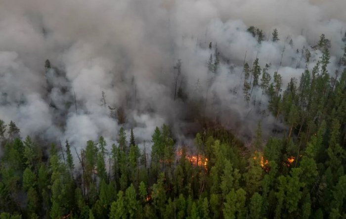 За последние сутки в Иркутской области потушено 9 лесных пожаров