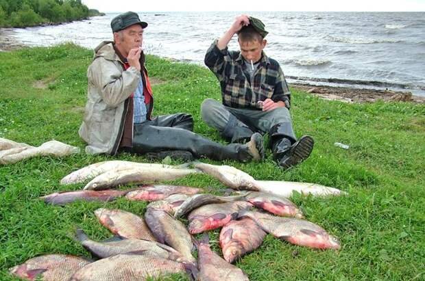 В четырёх областях России рыбакам-любителям разрешили официально продавать улов