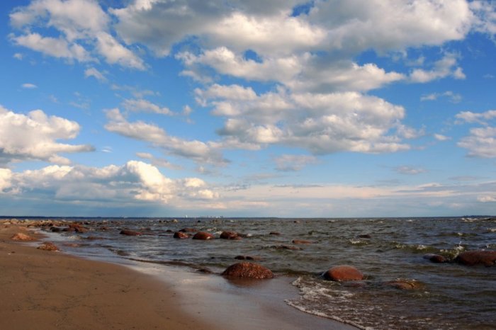Поверили в себя: Эстония пообещала организовать «морскую блокаду» в Финском заливе