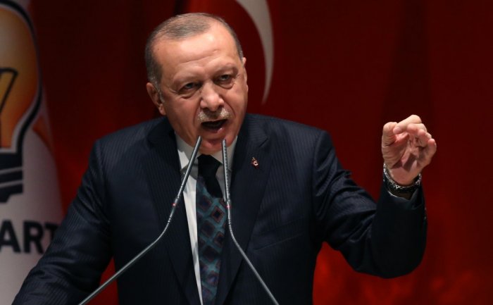 Пушков раскритиковал алчные замашки Эрдогана