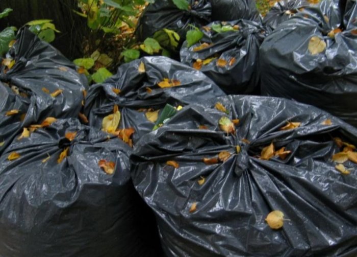 #Незамусоривайголову: собранные мешки с мусором можно обменять на образование