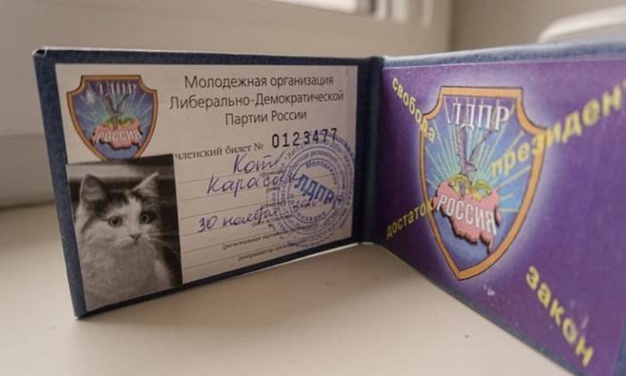 Котозамена Жириновскому: кот Карасик получил партийный билет ЛДПР