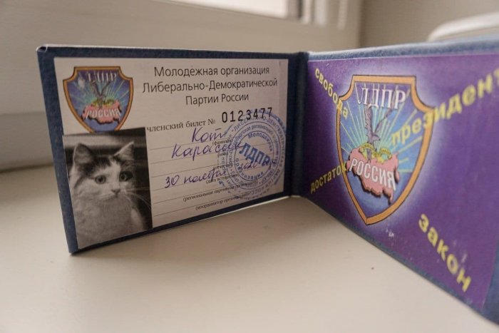 Петербургское отделение ЛДПР пополнилось котом Карасиком