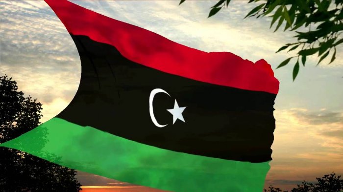 Участники Ливийского форума выступили против террористического ПНС