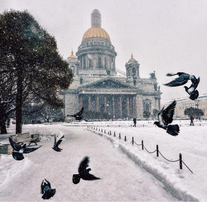 Зимой Петербург особенно прекрасен