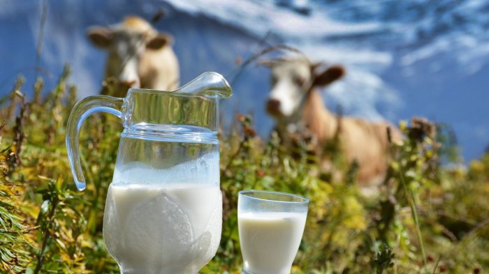 Воронежская область произвела рекордный миллион тонн молока
