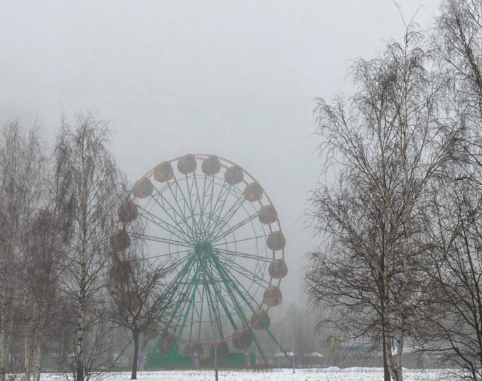 Туманное начало года: петербуржцы в соцсетях делятся фото города