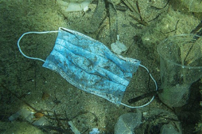 Полтора миллиарда выброшенных масок смыло в мировой океан