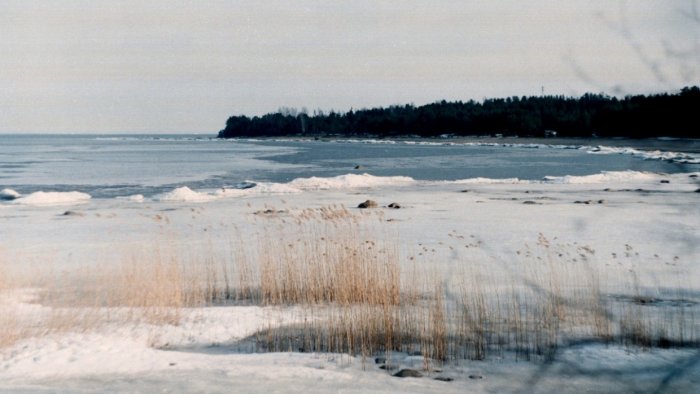 Блогер ехал по Ладожскому озеру на вездеходе и провалился под лед