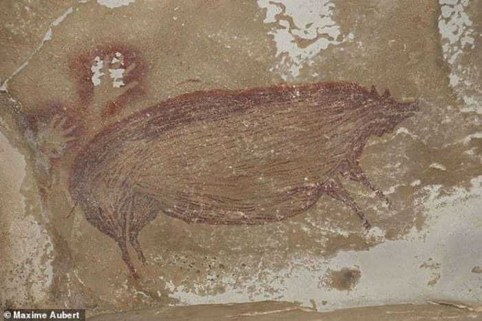В Индонезии нашли древнейшие наскальные рисунки свиней история, находка, индонезия, наскальные рисунки