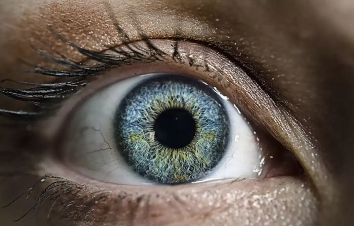 Ученые рассказали, что коронавирус COVID-19 влияет на глаза