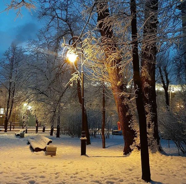 Фото снежного Петербурга делятся в соцсетях. Как мороз создал волшебные пейзажи природа, пейзаж