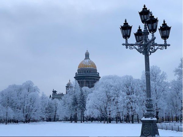 Фото снежного Петербурга делятся в соцсетях. Как мороз создал волшебные пейзажи природа, пейзаж