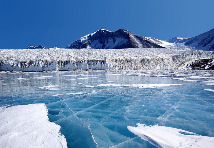 Во льдах в Антарктиде нашли неизвестных животных, похожих на губки