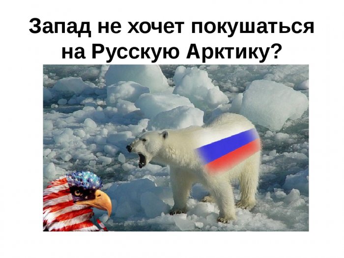 Россия и Китай могут, а мы нет? Почему США стремятся в Арктику