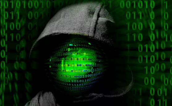 Хакеры легко взломали сайт «Свободу Навальному» и украли личные данные пользователей