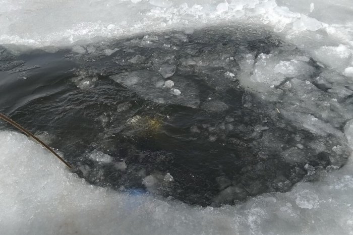 Петербуржец спас прыгнувшего в ледяную воду мужчину