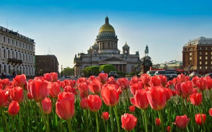 «Флаги, баннеры, плакаты»: когда и как Петербург украсят ко Дню города