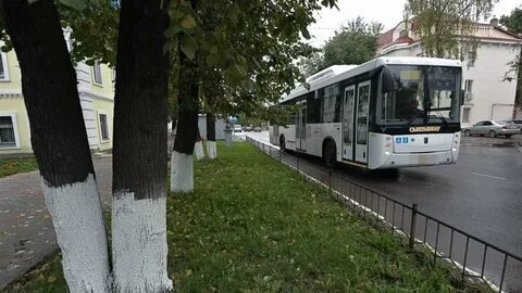 В Петербурге увеличено количество автобусов до городских кладбищ