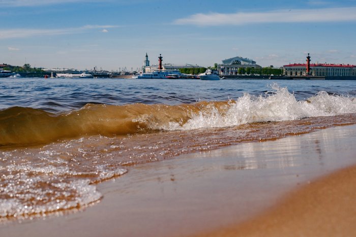 Роспотребнадзор предупредил петербуржцев об опасности городских пляжей