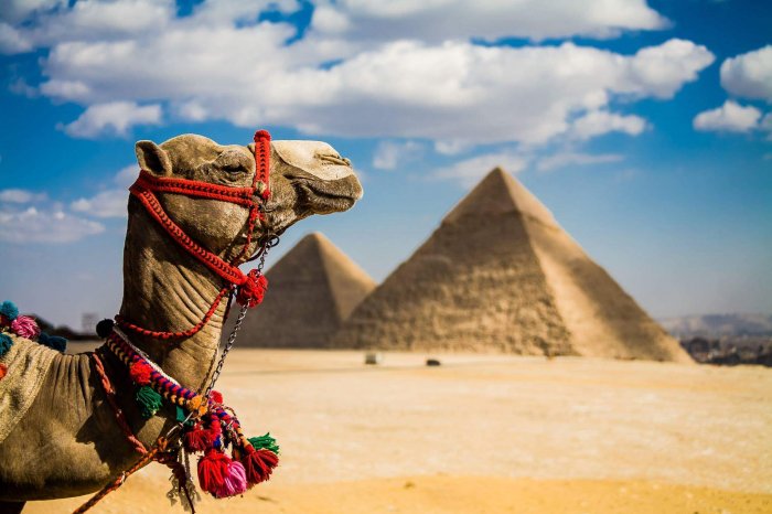 В АТОР объяснили, снизятся ли цены на отдых в Египте