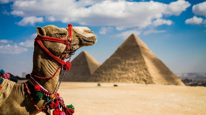 Рейсы из России в Египет планируют отправлять из 23 городов