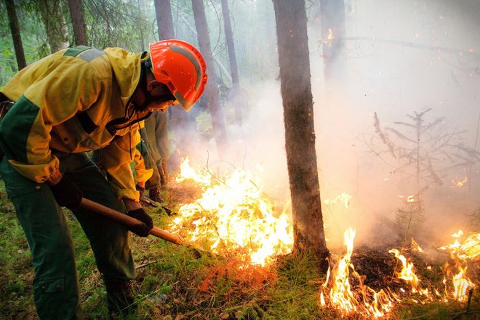 Пора начать предотвращать лесные пожары, чтобы не бороться с их последствиями - Максим Шугалей