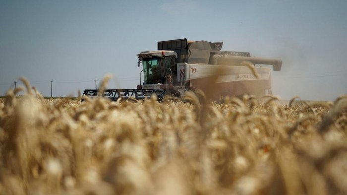 Россия проделала огромный путь и стала крупнейшим экспортёром зерна, — Financial Times