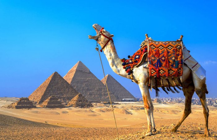 S7 в ноябре начнет полеты на курорты Египта из Екатеринбурга, Казани, Самары и Уфы