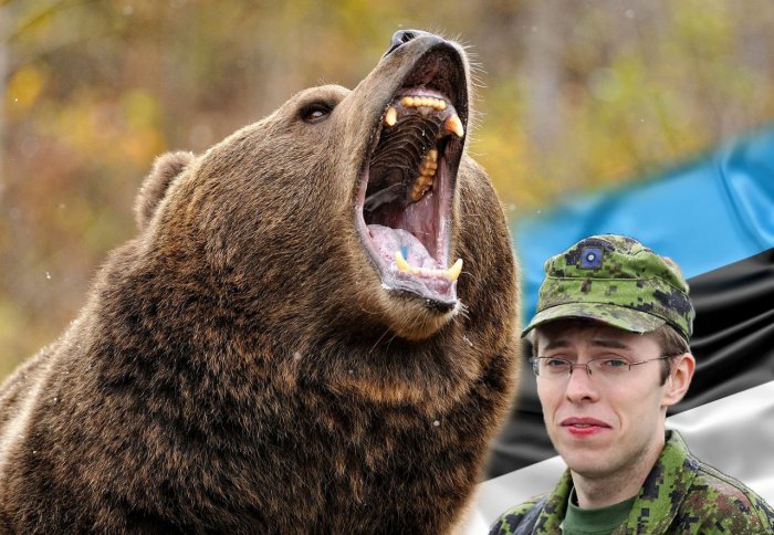 И к главным новостям: в этом году в Эстонии медведи разорили более 600 ульев