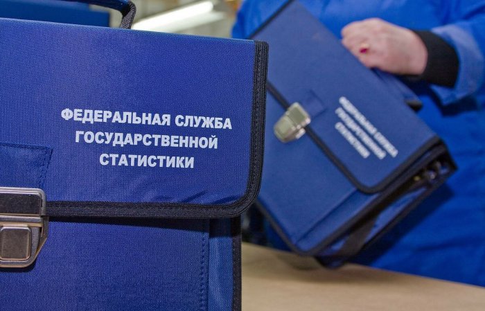 В переписи населения будут участвовать петербургские студенты из 24 вузов