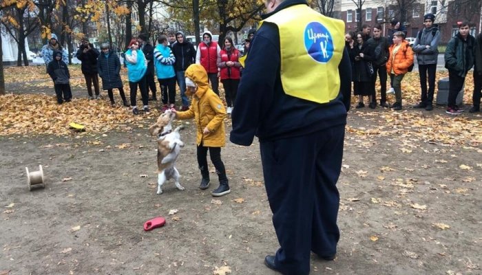 В Петербурге полицейские сорвали акцию «Собака-Обнимака». Вот что об этом известно